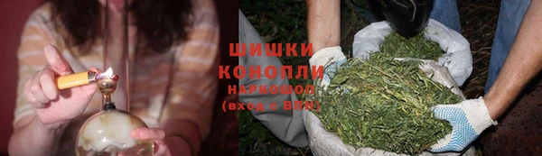 mix Гусиноозёрск