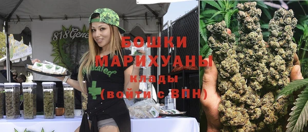 mix Гусиноозёрск