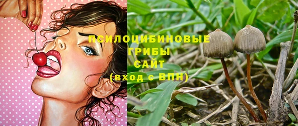 mix Гусиноозёрск
