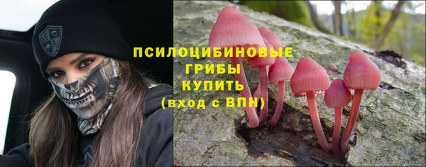 прущие крисы Гусь-Хрустальный