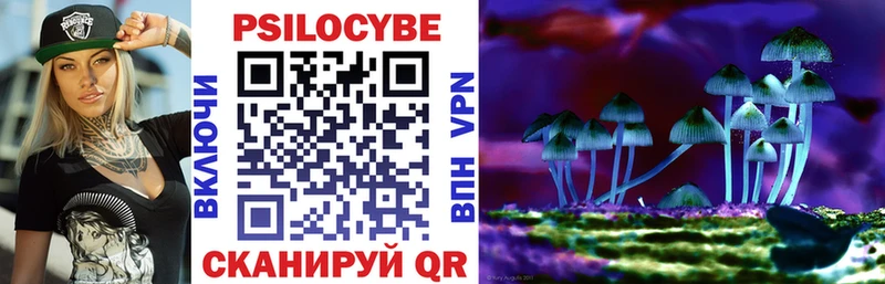 где продают   Похвистнево  Псилоцибиновые грибы ЛСД 