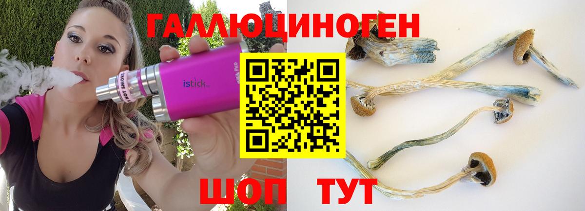 Галлюциногенные грибы MAGIC MUSHROOMS  Вход с VPN  Похвистнево  Галлюциногенные грибы мухоморы 
